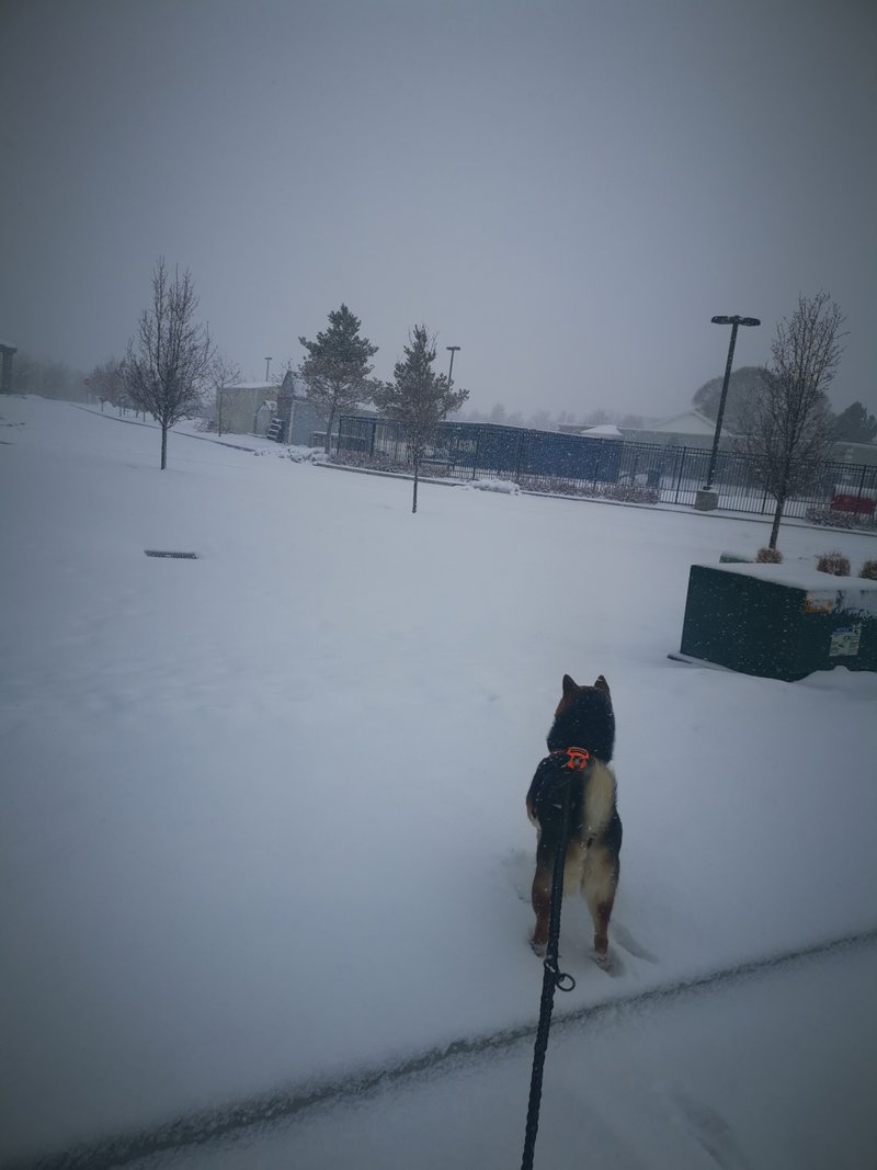 Parking Lot in Draper, Utah 3