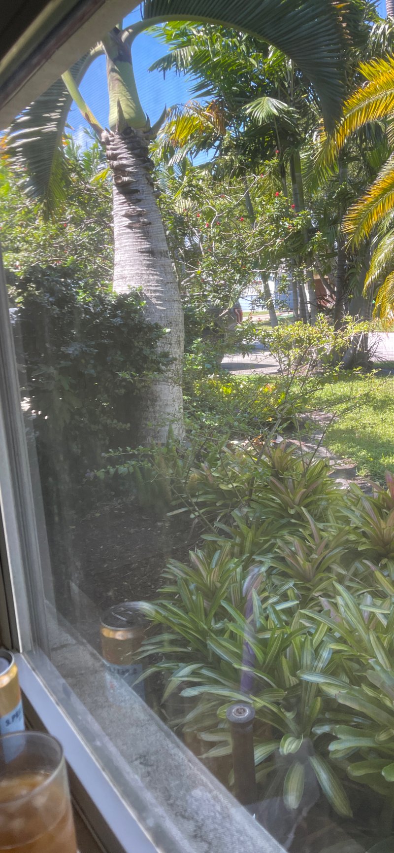 Driveway in Wilton Manors, Florida 0