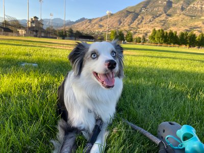 10×20 Unpaved Lot in Lehi, UT