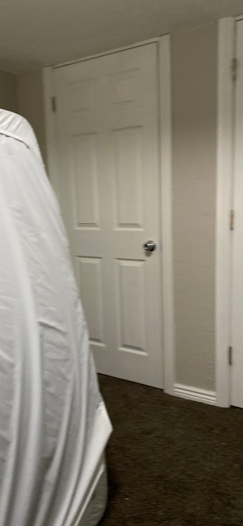 Basement in Saratoga Springs, Utah 1