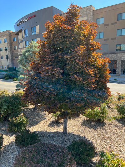 10×20 Parking Lot in Cottonwood Heights, UT 3