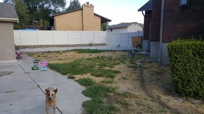 20×60 Unpaved Lot in Ogden, UT near 4031 Riverdale Rd 2