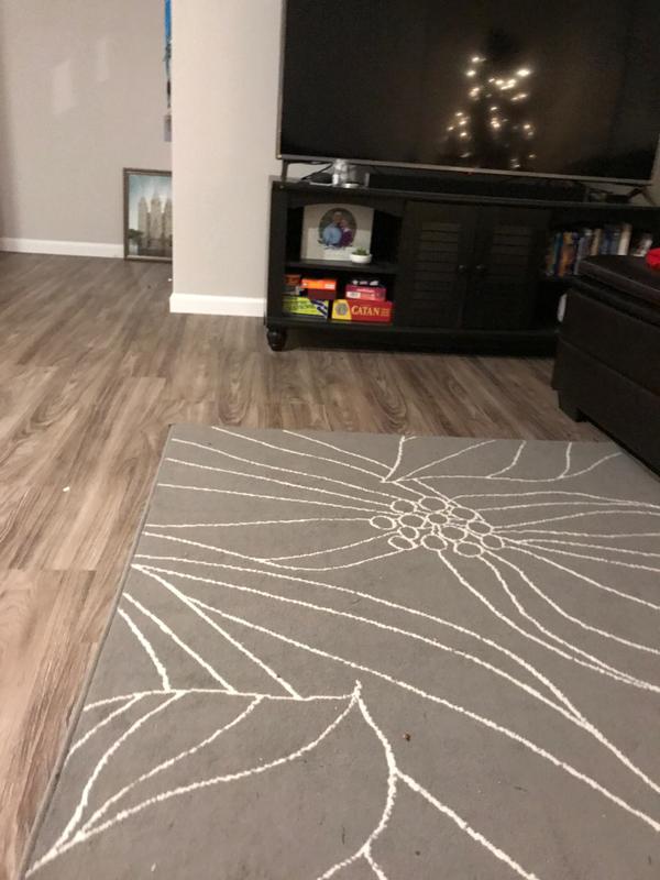 Basement in American Fork, Utah 3