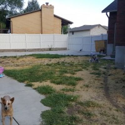 20×60 Unpaved Lot in Ogden, UT 2