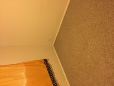 Home Storage Room in Provo, UT near Near 